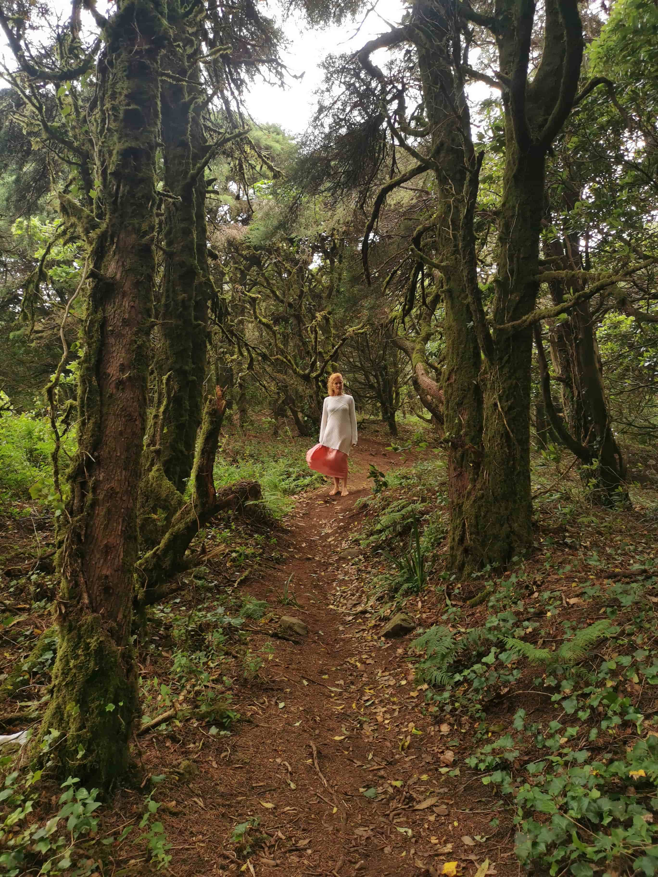 Floresta ancestral — Téthys