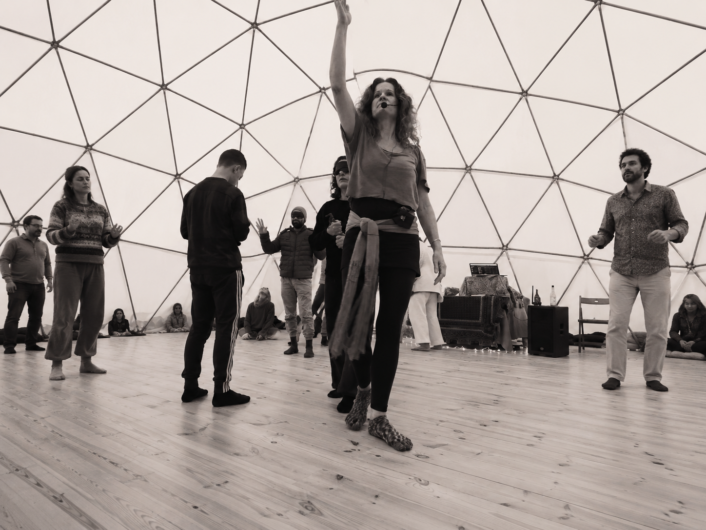 Systemic Dance