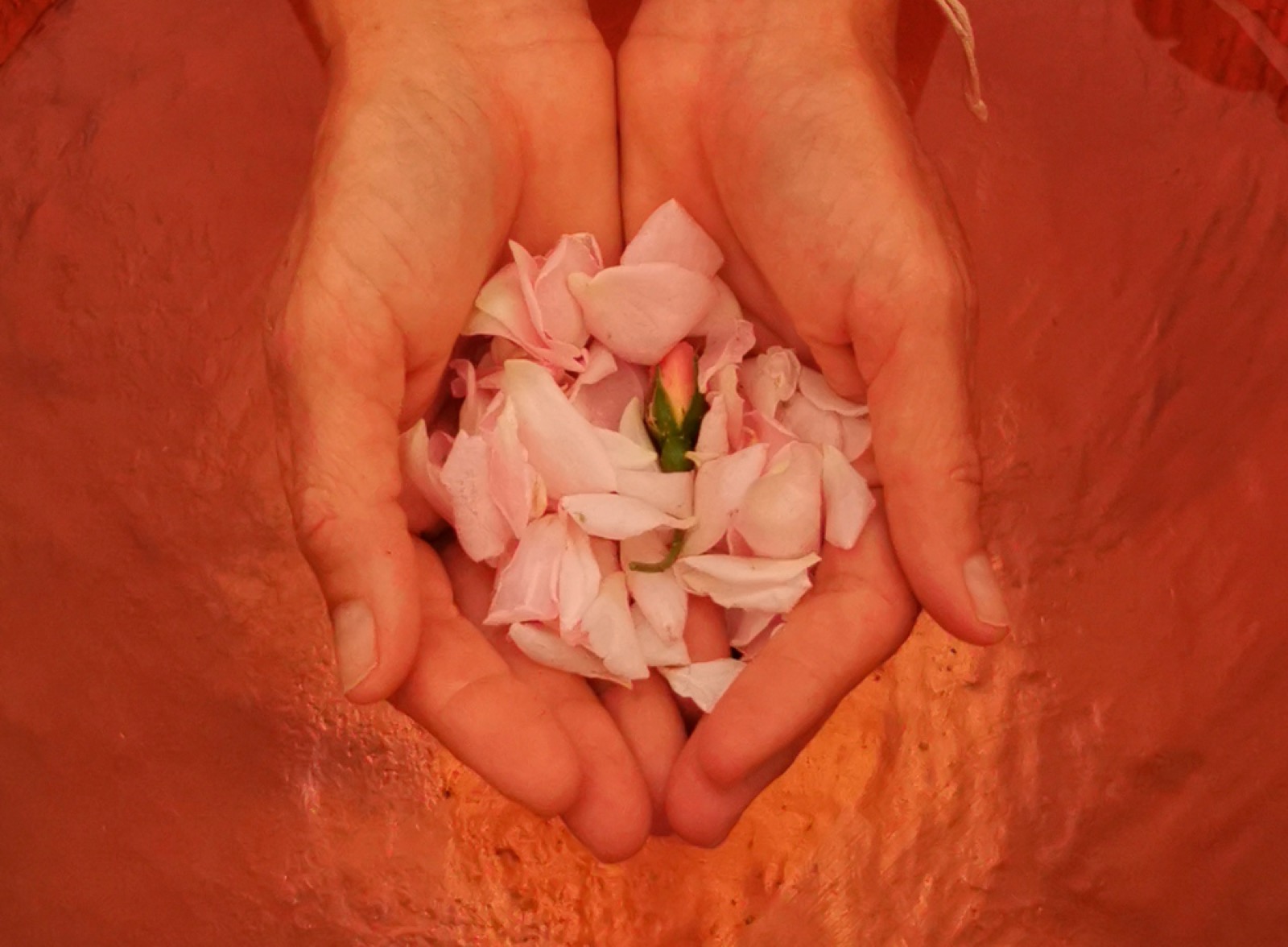 Somatic Experiencing