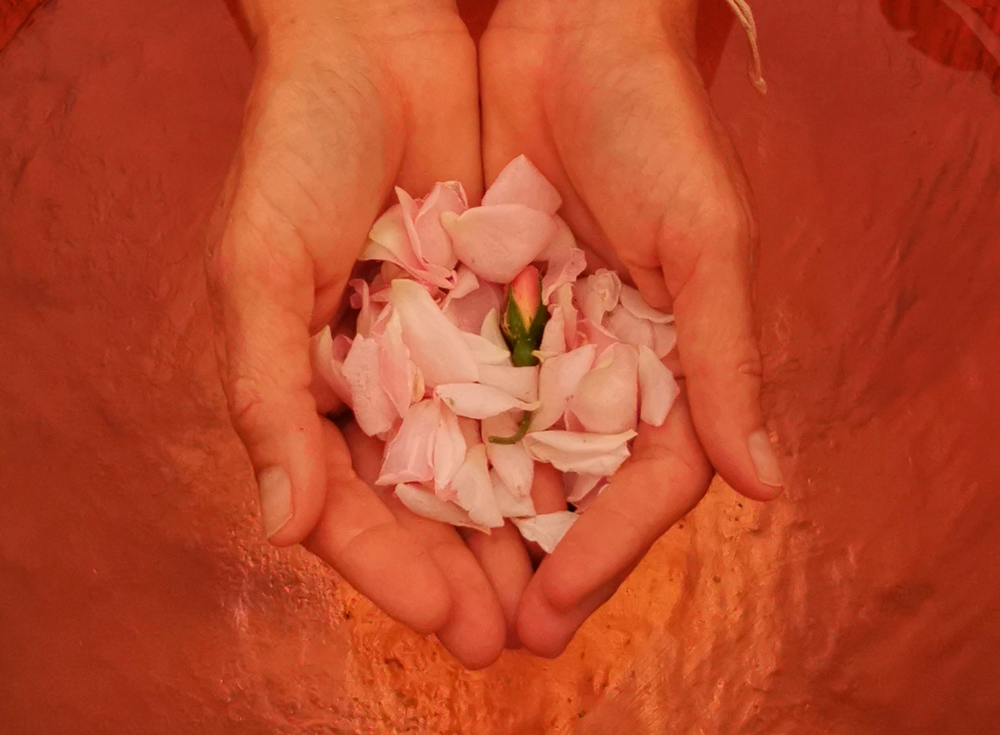 Somatic Experiencing